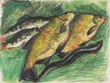 Max Pechstein, Fischstilleben, 1937, Coloured oil pastel and black chalk