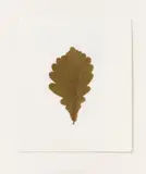 Koreanische Eiche by Joseph Beuys, 1982, Korean oak leaf on card, on card support, sold Nov 2013