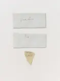 Untitled (Glockenblume, Klee, Weberkarde) by Joseph Beuys, 1958, Pen, pencil, envelopes with seeds and paper on card, sold Nov 2013