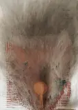 Otto Piene, Heißa