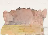 Dieter Roth, Untitled, 1974, Watercolour, pencil and pen on paper
