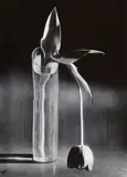 Melancholic Tulip by André Kertész, 1939, Later gelatin silver print, sold Nov 2013