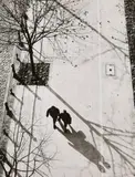 Lotte Laska, Untitled, 1950s, Vintage gelatin silver print