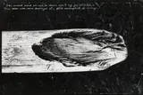 Peter Beard, From the original End-game, 1960, Vintage gelatin silver print.