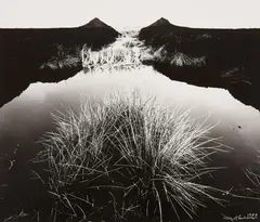 Moor (Marsh) by Robert Häusser, 1984, Gelatin silver print, sold Nov 2013
