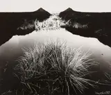 Robert Häusser, Moor (Marsh), 1984, Gelatin silver print