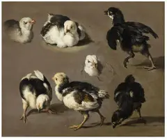 Melchior de Hondecoeter, STUDY FOR CHICKS, Oil on canvas (relined)