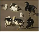 Melchior de Hondecoeter, STUDY FOR CHICKS, Oil on canvas (relined)