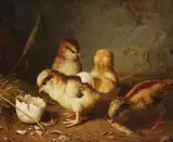 Gustav Süs, FOUR CHICKS, Oil on canvas (relined)