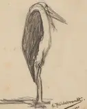 Eduard Hildebrandt, MARABOU