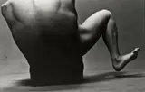 Eikō Hosoe, Leg and Torso