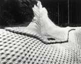Toshio Shibata, Onokami Village, Gunma Prefecture, Gelatin silver print on aludibond