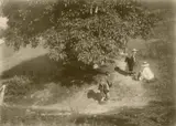 Heinrich Kühn, Wanderer unter einem Baum (Wanderers below a tree)