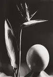 Man Ray, Composition avec l'Oeuf
