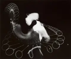 Squash (Jack Summers) by Harold Eugene Edgerton, Gelatin silver print, printed c., sold May 2013