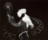 Harold Eugene Edgerton, Squash (Jack Summers)