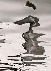 Siegfried Lauterwasser, Wasserspiegelung (Reflections in the Water), Vintage ferrotyped gelatin silver print on Agfa-Portriga-Rapid paper