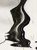 Siegfried Lauterwasser, Wasserspiegelung (Reflections in the Water), Vintage ferrotyped gelatin silver print on Agfa-Portriga-Rapid paper