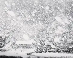 Schneetreiben I (Snow drift I) by Robert Häusser, Gelatin silver print, printed later, sold May 2013