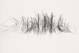 Toni Schneiders, Schilf gespiegelt (Reed mirrored), Vintage gelatin silver print on Agfa paper