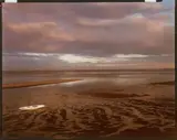 Joel Meyerowitz, Provincetown