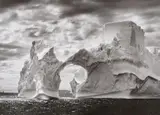 Sebastião Salgado, Antarctica