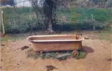William Christenberry, Bathtub as Watering Trough, near Greensboro, Alabama