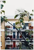 Wolfgang Tillmans, Please leave this one