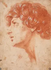 Central Italian School, HEAD OF A YOUNG MAN, Red chalk on paper, heightened with white, mounted on laid paper