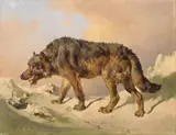 Johann Nepomuk Rauch, SIBERIAN WOLF, Oil on canvas (relined)