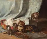 Julius Anton Adam, A CAT WITH THREE KITTENS, Oil on panel