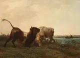 Jan Bedijs Tom, FIGHTING BULLS, Oil on panel