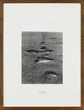 Hamish Fulton, Southern England. A 111 Mile Walk. Early 1977, Photowork: Gelatin silver print, flush-mounted to card and fibreboard and printed title on the mount