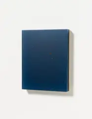Untitled (C 701 N) by Herbert Hamák, Synthetic resin on canvas, sold Dec 2012