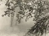 Max Baur, Herbst im Park (Autumn in the Park), Vintage gelatin silver print