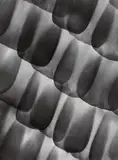 Carl Strüwe, Schuppen auf einem Schmetterlingsflügel (Scales on a butterfly's wing)., Gelatin silver print on Agfa Brovira paper, printed c.