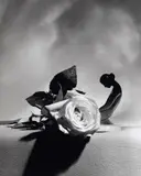 Horst P. Horst, Eva with Rose