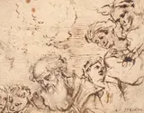 Flemish School 17th century, HEAD STUDY