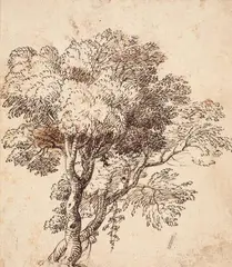 TREE STUDY by Claude Gellée, called Lorrain, in the manner of, Pen and brown ink, mounted on laid paper, sold Nov 2012