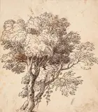 TREE STUDY by Claude Gellée, called Lorrain, in the manner of, Pen and brown ink, mounted on laid paper, sold Nov 2012
