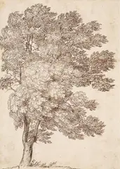 TREE STUDY by Claude Gellée, called Lorrain, in the manner of, Pen and brown ink, mounted on laid paper, sold Nov 2012