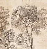 TREE STUDY by Claude Gellée, called Lorrain, in the manner of, Pen and brown ink, mounted on laid paper, sold Nov 2012