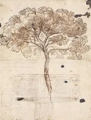 TREE STUDY by Claude Gellée, called Lorrain, in the manner of, Pen and brown ink, pencil, mounted on laid paper, sold Nov 2012