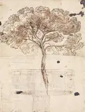 TREE STUDY by Claude Gellée, called Lorrain, in the manner of, Pen and brown ink, pencil, mounted on laid paper, sold Nov 2012