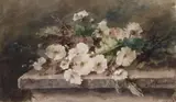 Margaretha Roosenboom, HOLLYHOCK STEMS ON A STONE TABLE, Watercolour on paper
