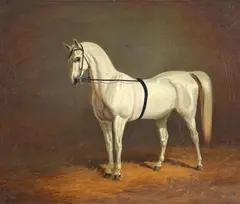 Alfonso Gray, WHITE HORSE IN THE STALL, Oil on canvas