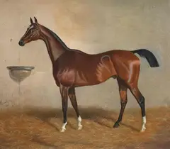 Alfonso Gray, BROWN HORSE IN THE STALL, Oil on canvas