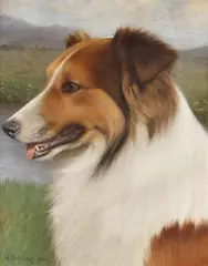 Wilhelm Schwar, COLLIE, Oil on canvas