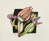 Johann Georg Müller, Ohne Titel (Untitled)