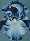 Lowell Blair Nesbitt, BLUE IRIS ON GREY